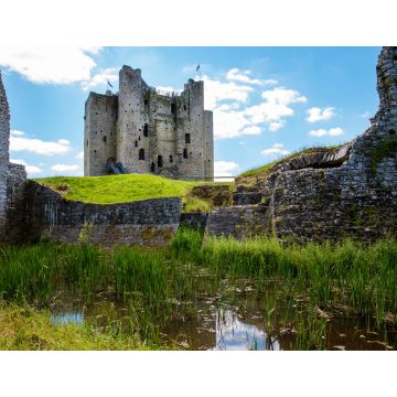 Lais Puzzle - Ein Panoramablick auf die Burg Trim in der Grafschaft Meath am Fluss Boyne, Irland. Es ist die größte anglo-normannische Burg in Irland - 1.000 Teile