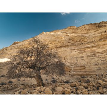Lais Puzzle - Ein Avdat-Nationalpark Israel - 1.000 Teile