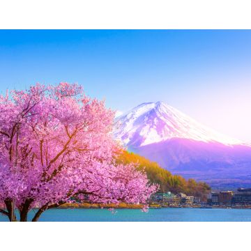 Lais Puzzle - Der Berg Fuji und die Kirschblüten, die vom Kawaguchiko-See in Yamanashi zu sehen sind - 1.000 Teile
