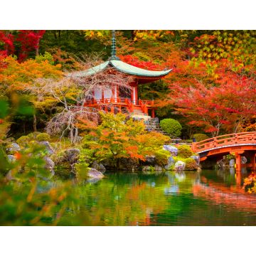 Lais Puzzle - Daigo-ji-Tempel mit bunten Ahornbäumen im Herbst, Kyoto, Japan - 1.000 Teile