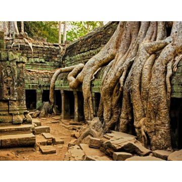 Lais Puzzle - Die antiken Ruinen von Angkor Wat in Kambodscha - 1.000 Teile