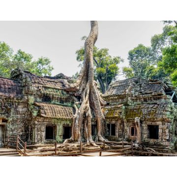 Lais Puzzle - Ta-Prohm-Tempel, Kambodscha - 1.000 Teile