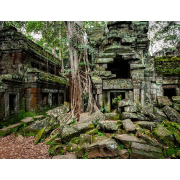 Lais Puzzle - Tempel von Angkor Wat, wo der Dschungel die Ruinen in der Nähe der Stadt Siem Reap in Kambodscha teilweise überwuchert hat - 1.000 Teile