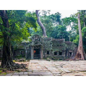 Lais Puzzle - Ta Prohm-Tempel in Angkor Kambodscha Asien - 1.000 Teile