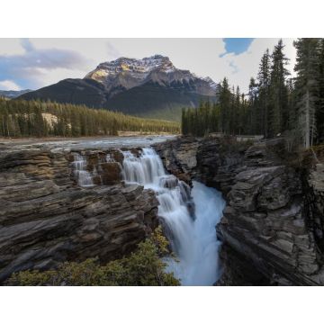 Lais Puzzle - Athabasca Falls und Berg - 1.000 Teile