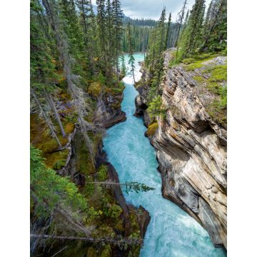 Lais Puzzle - Eine enge Schlucht am Icefield Parkway in British Columbia - 1.000 Teile