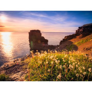 Lais Puzzle - Blick auf einen Strand auf Bell Island, Neufundland, Kanada bei Sonnenuntergang - 1.000 Teile