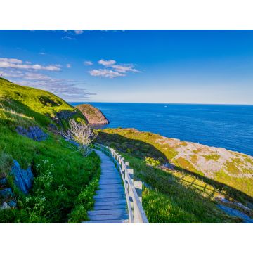 Lais Puzzle - Signal Hill Walkway in St. John Neufundland, Kanada mit blauem Himmel im Hintergrund im Sommer - 1.000 Teile