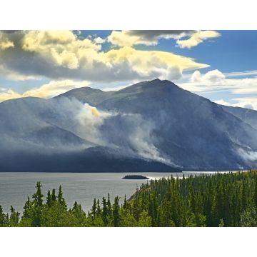 Lais Puzzle - Tagish Lake, Yukon Territorium, Kanada - 1.000 Teile