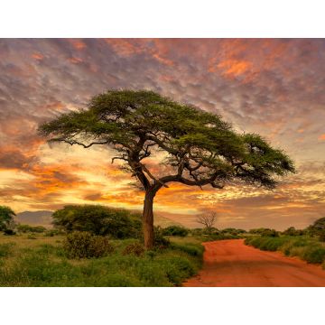 Lais Puzzle - Sonnenuntergang und Sonnenaufgang in dem Nationalpark Tsavo Ost, Tsavo West und Amboseli, Kenia - 1.000 Teile