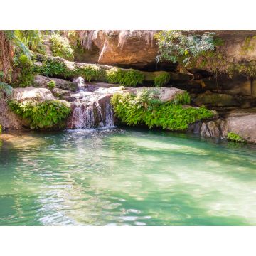 Lais Puzzle - Atemberaubende Oase namens "la piscine naturelle", ein palmengesäumtes Becken, das ständig von einem kristallklaren Wasserfall gespeist wird, Isalo-Nationalpark, Madagaskar - 1.000 Teile