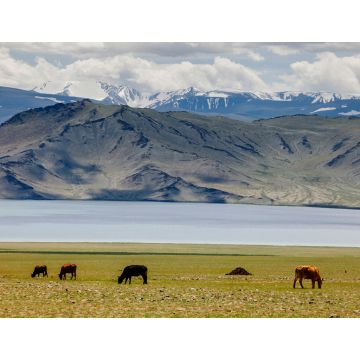 Lais Puzzle - Landschaft Mongolei - 1.000 Teile