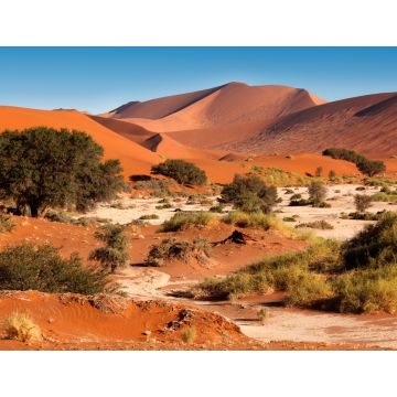 Lais Puzzle - Sanddünen bei Sossusvlie - Namib-Wüste - Namibia - 1.000 Teile