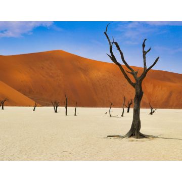Lais Puzzle - Totes Vlei (Namib-Naukluft Park) - Namibia Afrika - 1.000 Teile