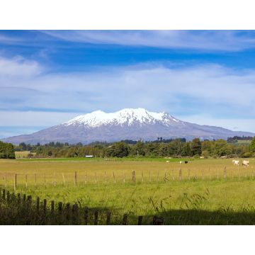 Lais Puzzle - Mount Ruapehu Vulkan in Neuseeland - 1.000 Teile