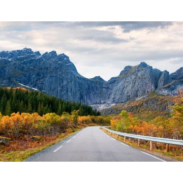 Lais Puzzle - Straße in Norwegen, Lofoten-Inseln, goldener Herbst an der Felswand der Berge - 1.000 Teile