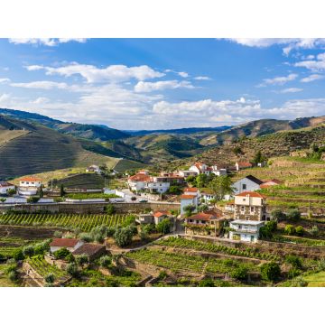 Lais Puzzle - Landschaft der Douro-Flussregion in Portugal - Weinberge - 1.000 Teile