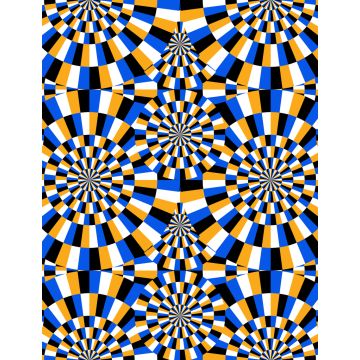 Lais Puzzle - Optische Illusion bewegte Kreise - 1.000 Teile