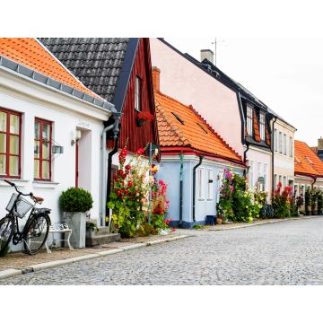 Lais Puzzle - Schwedische Dorfgasse mit Toren und Pflanzen, Ystad - 1.000 Teile