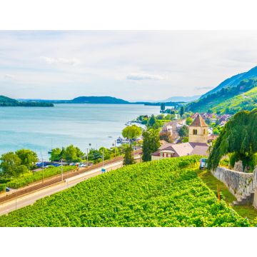 Lais Puzzle - Das Dorf Twann-Tüscherz am Bielersee in der Nähe von Biel/Bienne in der Schweiz - 1.000 Teile