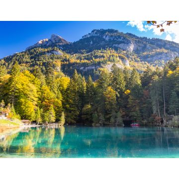 Lais Puzzle - Naturpark Blausee in Kandersteg, Schweiz, Herbstfärbung mit klarem Wasser - 1.000 Teile