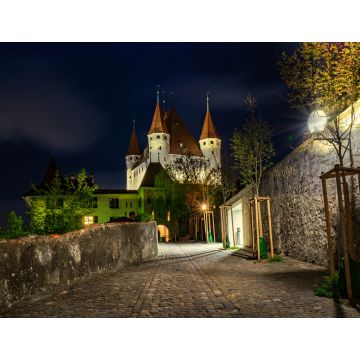 Lais Puzzle - Nächtliche Ansicht des Schlosses Thun in der Stadt Thun, Berner Oberland, Schweiz - 1.000 Teile