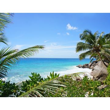 Lais Puzzle - Schöner Palmenstrand auf der tropischen Insel der Seychellen. Weißer Sandstrand mit Bäumen am Ufer des Indischen Ozeans. Paradiesischer, abgelegener Strand in der Sommersaison - 1.000 Teile