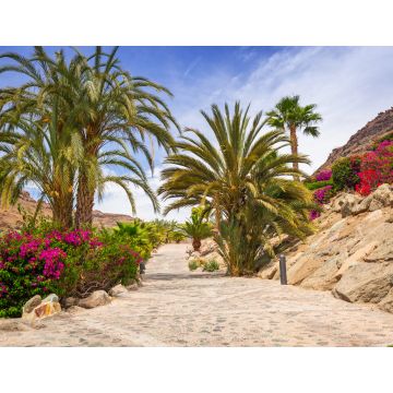 Lais Puzzle - Tropische Fauna auf der Insel Gran Canaria - 1.000 Teile