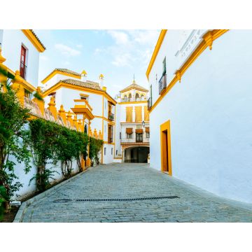 Lais Puzzle - Typische sevillanische Straße in der Nähe der Stierkampfarena von La Maestranza - 1.000 Teile