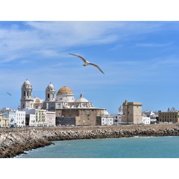 Lais Puzzle - Die Kuppel der Kathedrale von Cádiz (Catedral Nueva) an der Strandpromenade Campo del Sur in Cádiz, Andalusien - 1.000 Teile