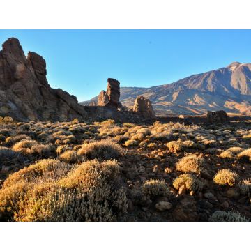 Lais Puzzle - Nationalpark El Teide auf Teneriffa - 1.000 Teile