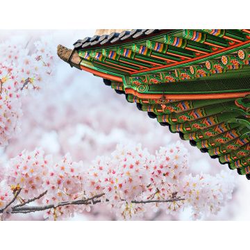 Lais Puzzle - Gyeongbokgung-Palast mit Kirschblüten im Frühling, Korea - 1.000 Teile
