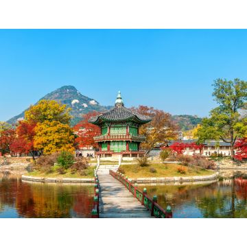 Lais Puzzle - Naejangsan-Nationalpark im Herbst, Südkorea - 1.000 Teile