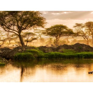 Lais Puzzle - Sonnenuntergang über dem Fluss in der Serengeti, Tansania - 1.000 Teile