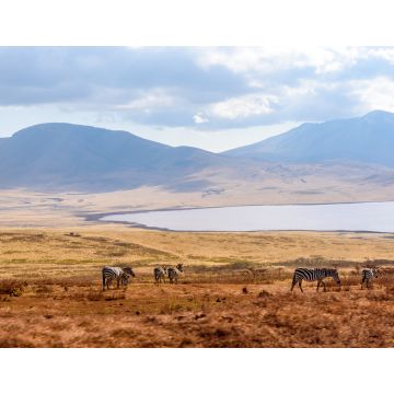 Lais Puzzle - Pirschfahrt mit Safari-Auto im Serengeti-Nationalpark in schöner Landschaftskulisse, Tansania, Afrika - 1.000 Teile