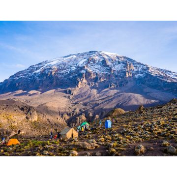 Lais Puzzle - Zelten auf dem Kilimandscharo, um die Gletscher in Tansania, Afrika, zu sehen - 1.000 Teile