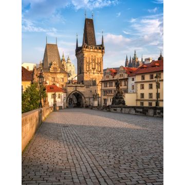Lais Puzzle - Karlsbrücke in Prag / Schöner sonniger Morgenblick auf die Karlsbrücke in Prag, Tschechische Republik - 1.000 Teile