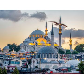 Lais Puzzle - Süleymaniye-Moschee Die Süleymaniye-Moschee ist eine osmanische kaiserliche Moschee auf dem Dritten Hügel in Istanbul, Türkei - 1.000 Teile