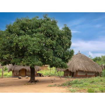 Lais Puzzle - Dorf, Uganda, Ostafrika - 1.000 Teile