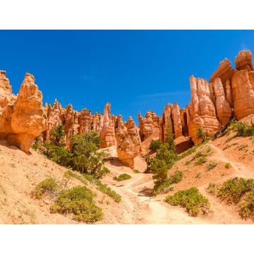 Lais Puzzle - Bryce Canyon National Park - Wanderung auf dem Queens Garden Trail und Najavo Loop in den Canyon, Utah - 1.000 Teile