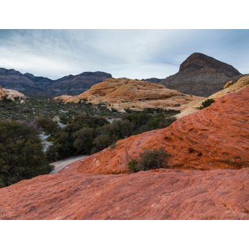Lais Puzzle - Red Rock Canyon, Clark County, Nevada, USA, Amerika - 1.000 Teile
