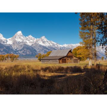 Lais Puzzle - T.A. Moulton Barn im Mormon Row Historic District im Grand Teton National Park, Wyoming - 1.000 Teile