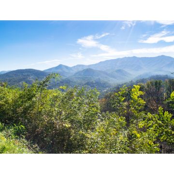 Lais Puzzle - Great Smoky Mountains in der Nähe von Gatlinburg, Tennessee - 1.000 Teile