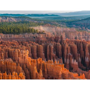 Lais Puzzle - Hoodoos von Silent City vom Inspiration Point, Bryce Canyon National Park, Utah, USA - 1.000 Teile