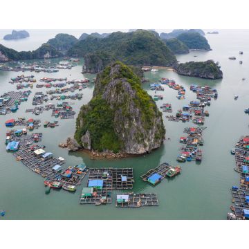 Lais Puzzle - Luftaufnahme des schwimmenden Fischerdorfs in der Lan Ha Bay, Vietnam. UNESCO-Weltkulturerbe. In der Nähe der Ha Long-Bucht - 1.000 Teile