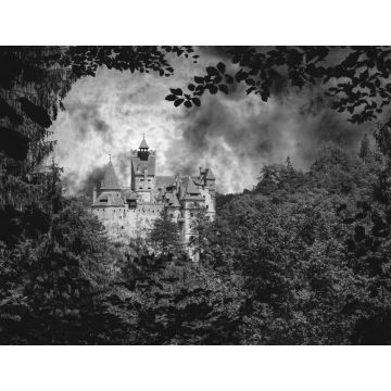 Lais Puzzle - Schloss Bran. Vampir-Residenz von Dracula in den Wäldern von Rumänien in schwarz weiß - 1.000 Teile