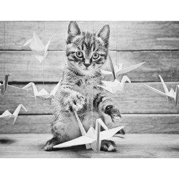 Lais Puzzle - Kleine Katze spielt mit bunten Papierkränen in schwarz weiß - 1.000 Teile