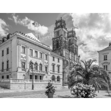Lais Puzzle - Rathaus mit Kathedrale Sainte Croix d Orleans, Orleans in schwarz weiß - 1.000 Teile