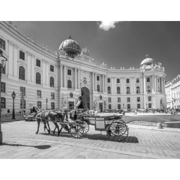 Lais Puzzle - Fiaker vor der Alten Hofburg, Wien, Österreich in schwarz weiß - 1.000 Teile