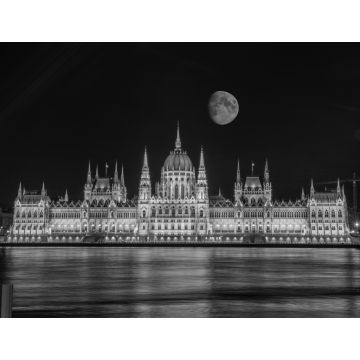 Lais Puzzle - Superblutmond in Budapest, Ungarn in schwarz weiß - 1.000 Teile